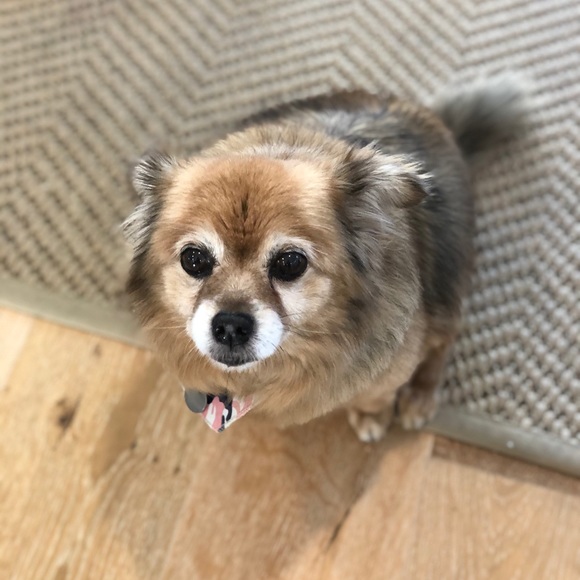 Meet your Posher, Liz - Picture 1 of 1